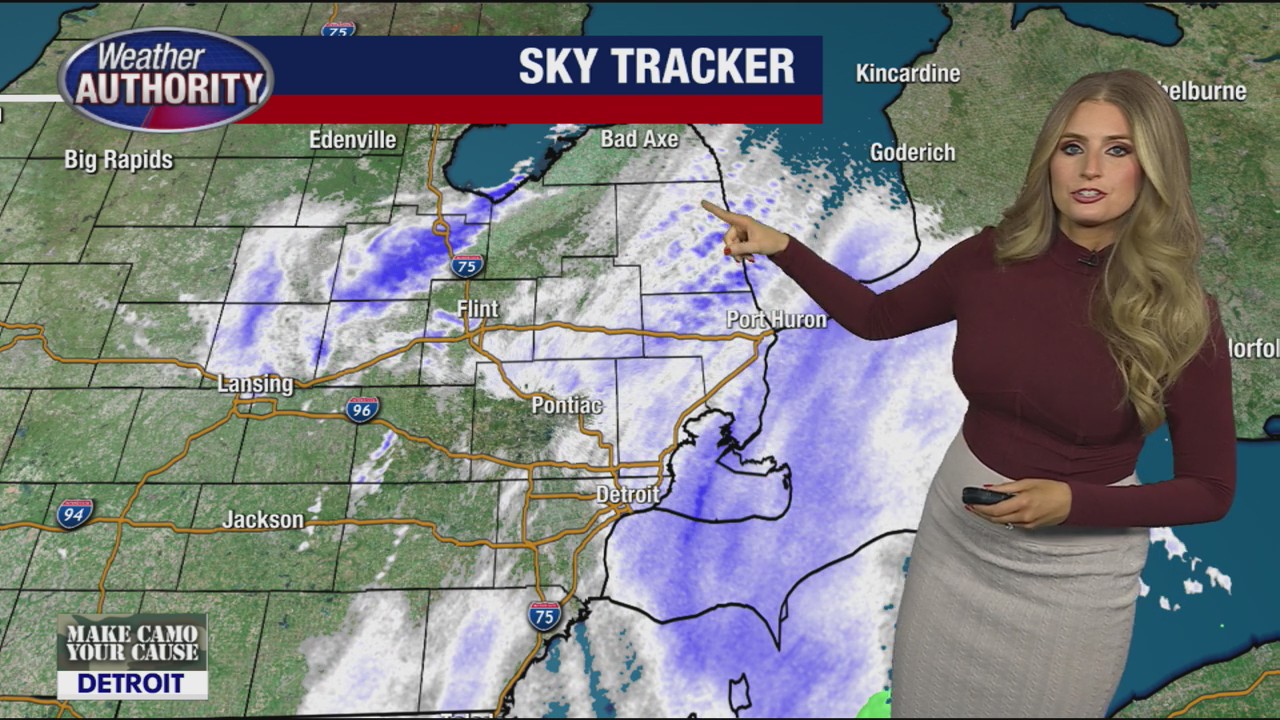 Travel issues expected to continue if shutdown lingers; Wintery weather hits metro Detroit; Trump demands SNAP benefits returned