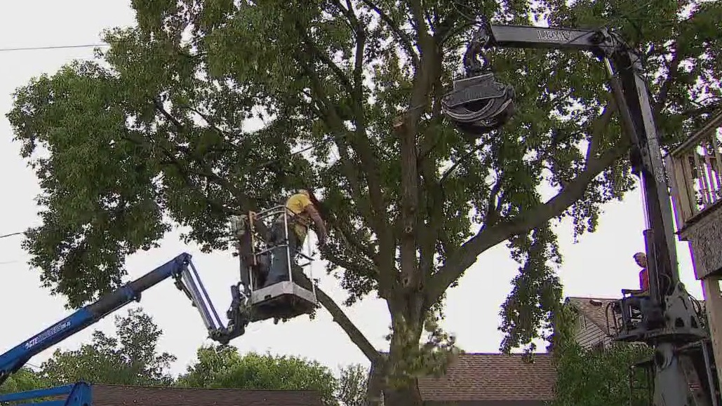 After-storm cleanups continue in Twin Cities metro