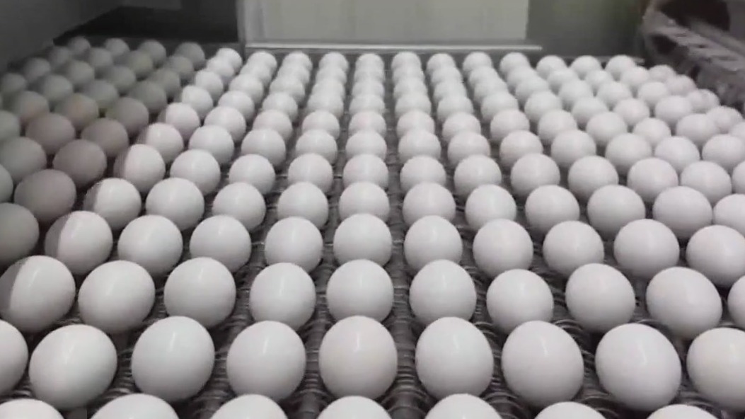 Ways to make eggs last longer