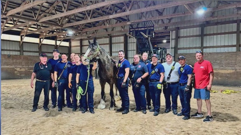 Bartlett Fire Protection District comes to the rescue of a struggling horse