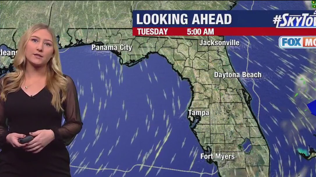 Tampa weather | Tuesday morning forecast