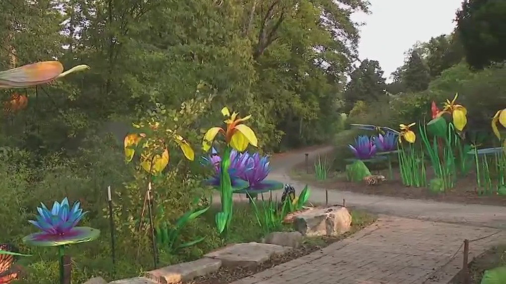 40 larger-than-life light displays