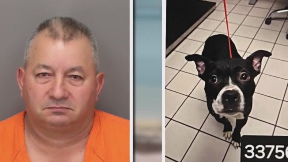 Hearing Friday in ‘Dexter’ case