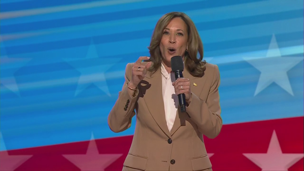 Vice President Kamala Harris makes surprise appearance at DNC Day 1