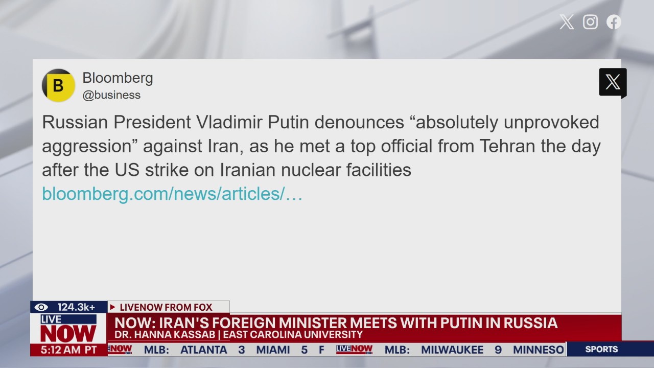 Iran's Foreign Minister meets with Putin in Russia