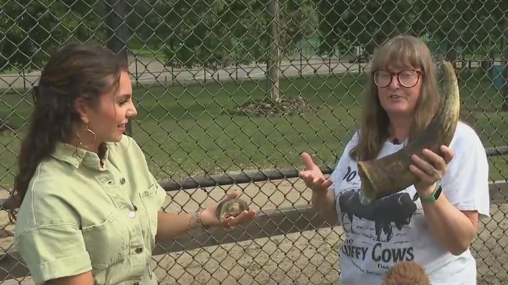 Free fun at Elgin Zoo: New kid-friendly experiences you don’t want to miss