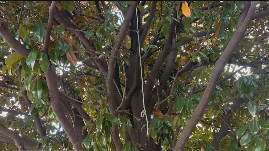 Noose at APEX Museum sparks outrage, NAACP response