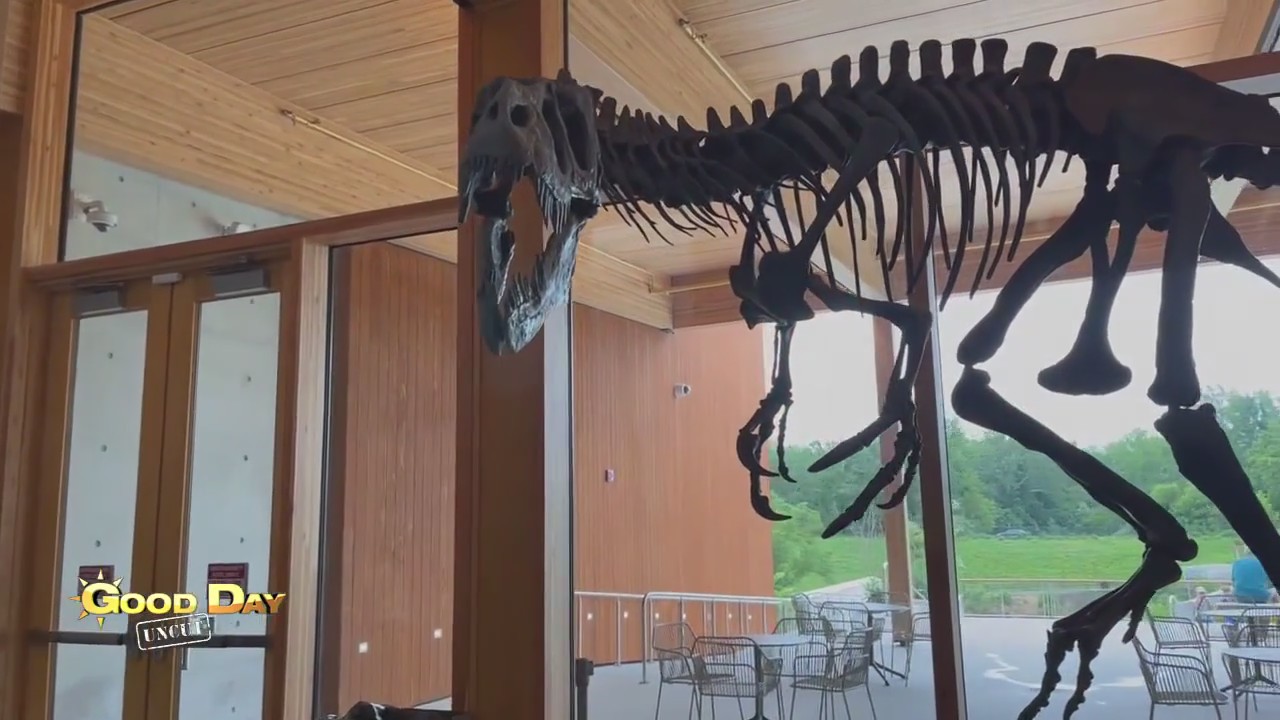 Good Day Uncut: Edelman Fossil Park & Museum of Rowan