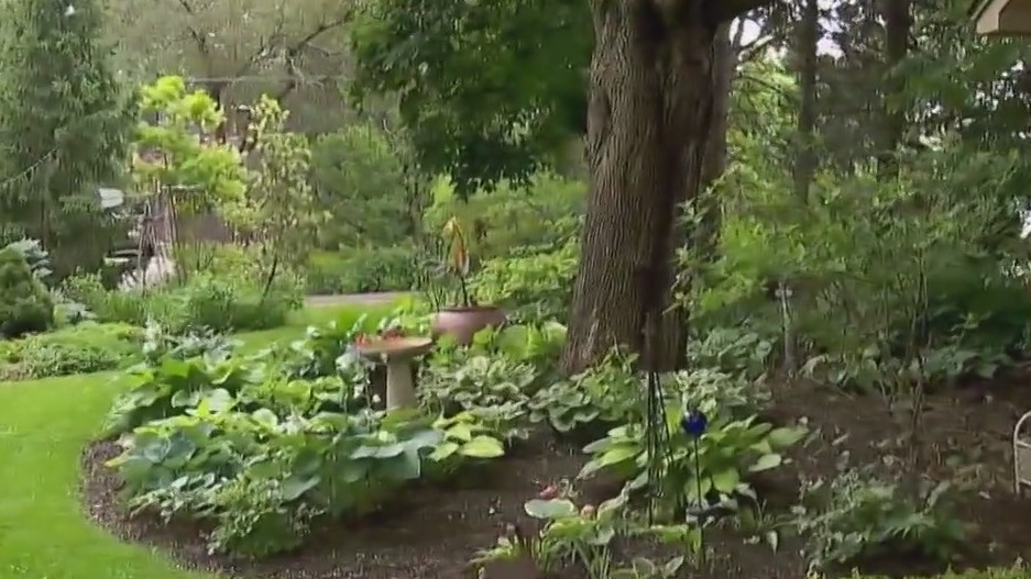 Backyard oasis’ on display in historic Minneapolis Neighborhood