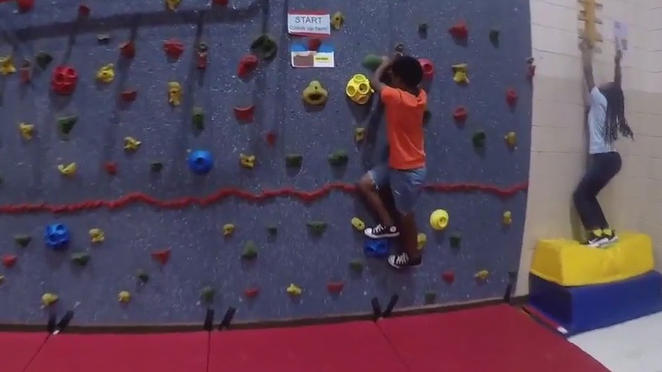 Ninja Warrior course for a cause